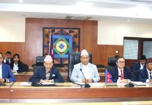 Foreign Ministry Discusses Safety and Security of Nepalis in West Asia, Africa
